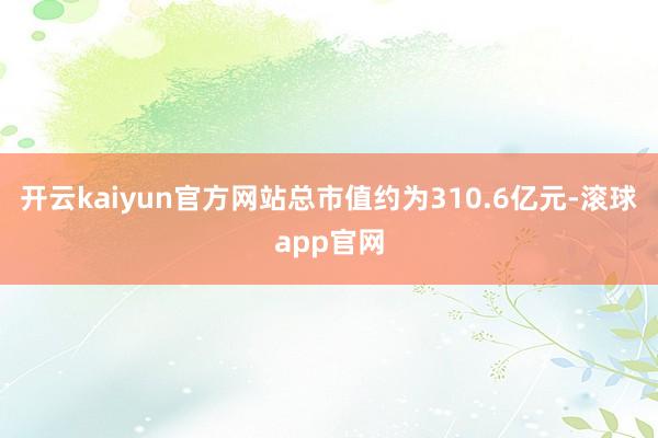 开云kaiyun官方网站总市值约为310.6亿元-滚球app官网