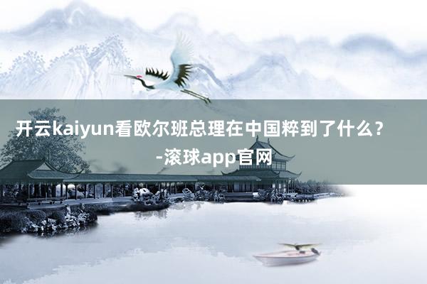 开云kaiyun看欧尔班总理在中国粹到了什么？    -滚球app官网