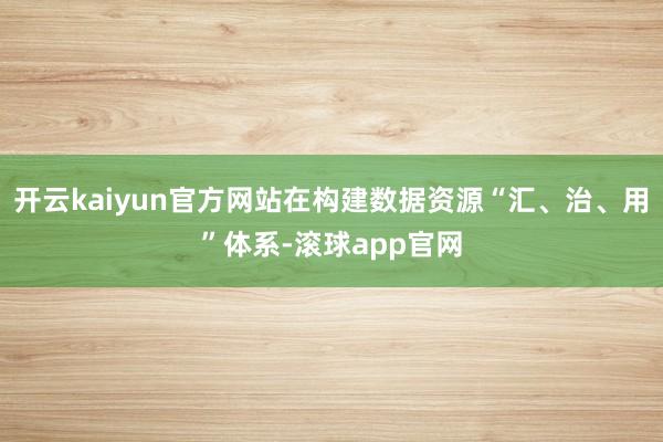 开云kaiyun官方网站在构建数据资源“汇、治、用”体系-滚球app官网