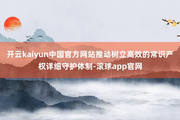 开云kaiyun中国官方网站推动树立高效的常识产权详细守护体制-滚球app官网