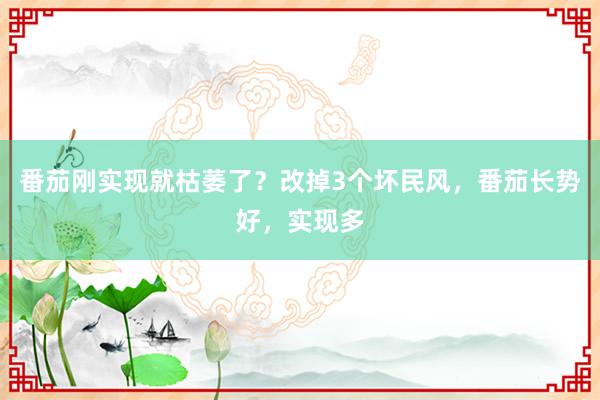 番茄刚实现就枯萎了？改掉3个坏民风，番茄长势好，实现多