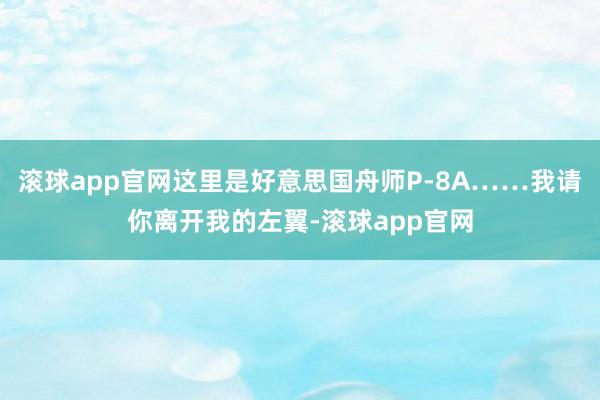 滚球app官网这里是好意思国舟师P-8A……我请你离开我的左翼-滚球app官网