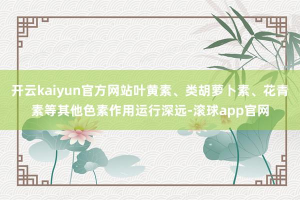 开云kaiyun官方网站叶黄素、类胡萝卜素、花青素等其他色素作用运行深远-滚球app官网