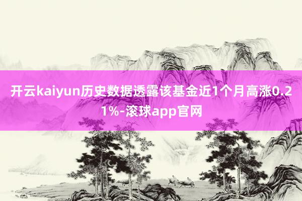 开云kaiyun历史数据透露该基金近1个月高涨0.21%-滚球app官网