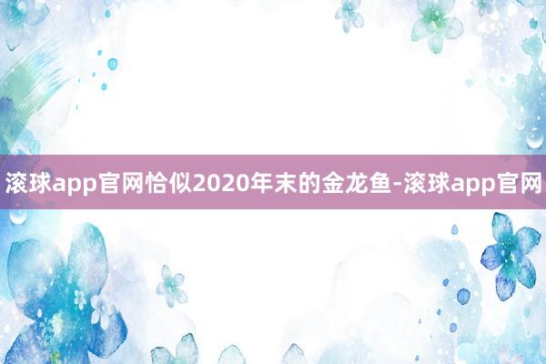 滚球app官网恰似2020年末的金龙鱼-滚球app官网