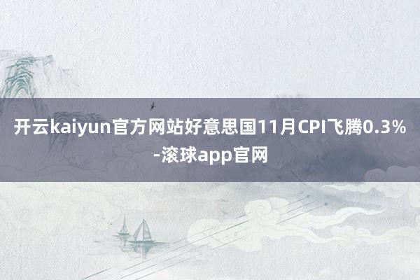 开云kaiyun官方网站好意思国11月CPI飞腾0.3%-滚球app官网