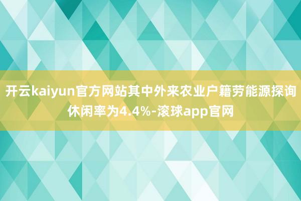 开云kaiyun官方网站其中外来农业户籍劳能源探询休闲率为4.4%-滚球app官网