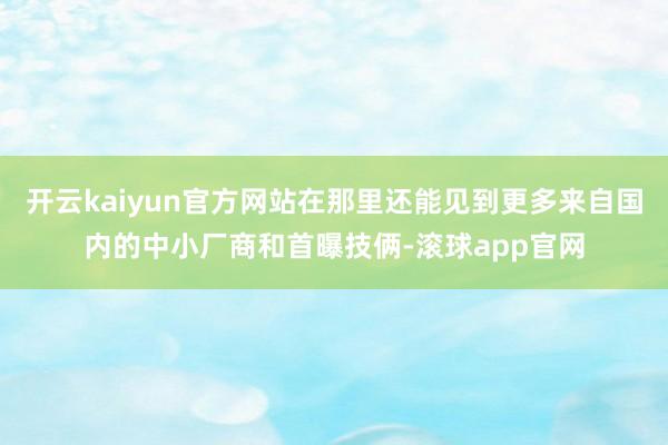 开云kaiyun官方网站在那里还能见到更多来自国内的中小厂商和首曝技俩-滚球app官网