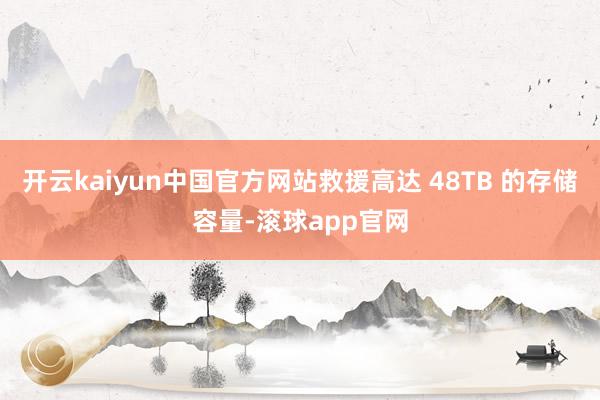 开云kaiyun中国官方网站救援高达 48TB 的存储容量-滚球app官网