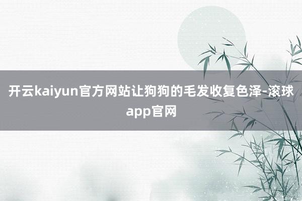 开云kaiyun官方网站让狗狗的毛发收复色泽-滚球app官网