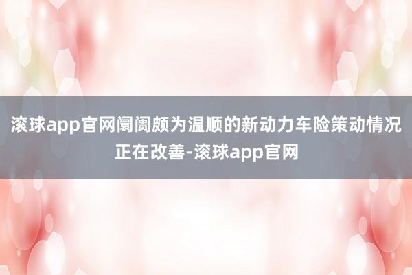 滚球app官网阛阓颇为温顺的新动力车险策动情况正在改善-滚球app官网