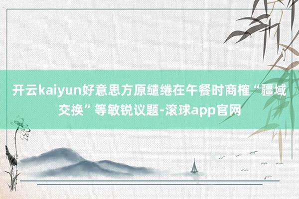 开云kaiyun好意思方原缱绻在午餐时商榷“疆域交换”等敏锐议题-滚球app官网